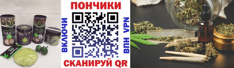 где можно купить   Новая Ладога  Еда ТГК марихуана 