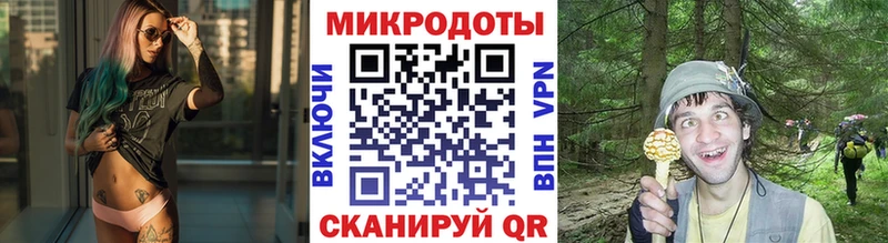Галлюциногенные грибы мухоморы  Новая Ладога 