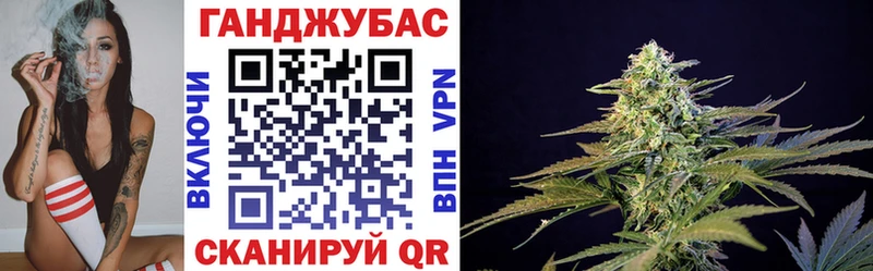 магазин продажи наркотиков  Новая Ладога  Бошки марихуана план 
